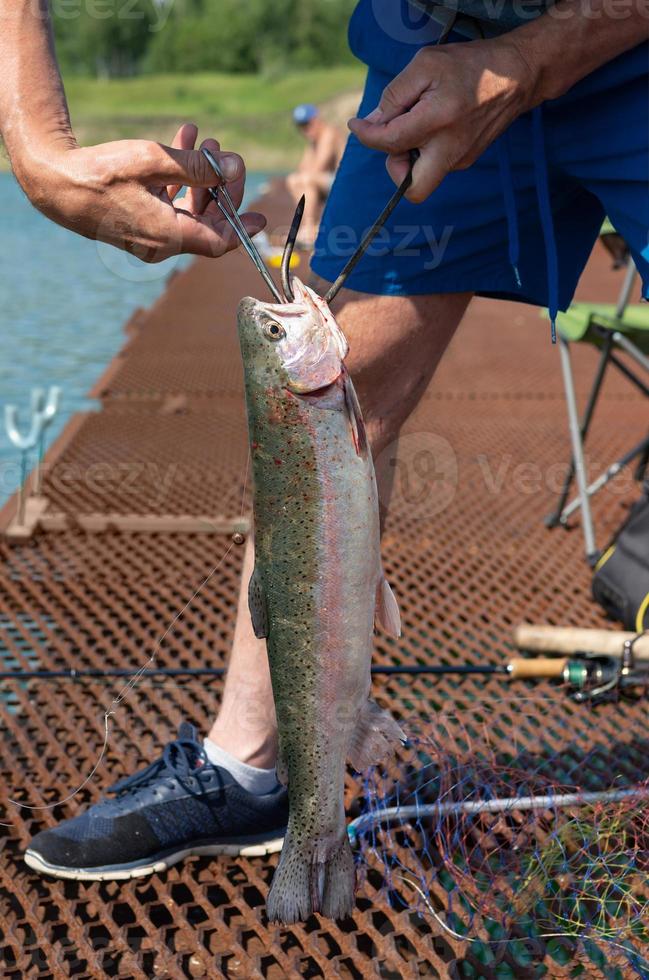 Ein Fischer fängt auf einer Forellenfarm mit einer Spinnrute Fische und nimmt sie mit einem Netz auf. foto