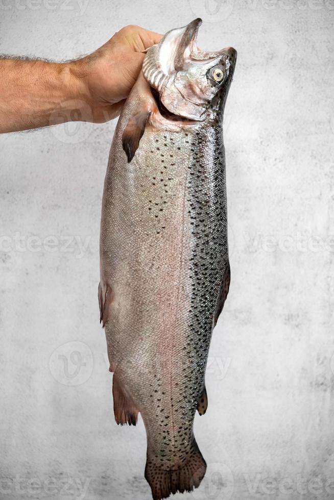 Große Regenbogenforelle aus frischem rohem Fisch in den Händen eines Mannes foto