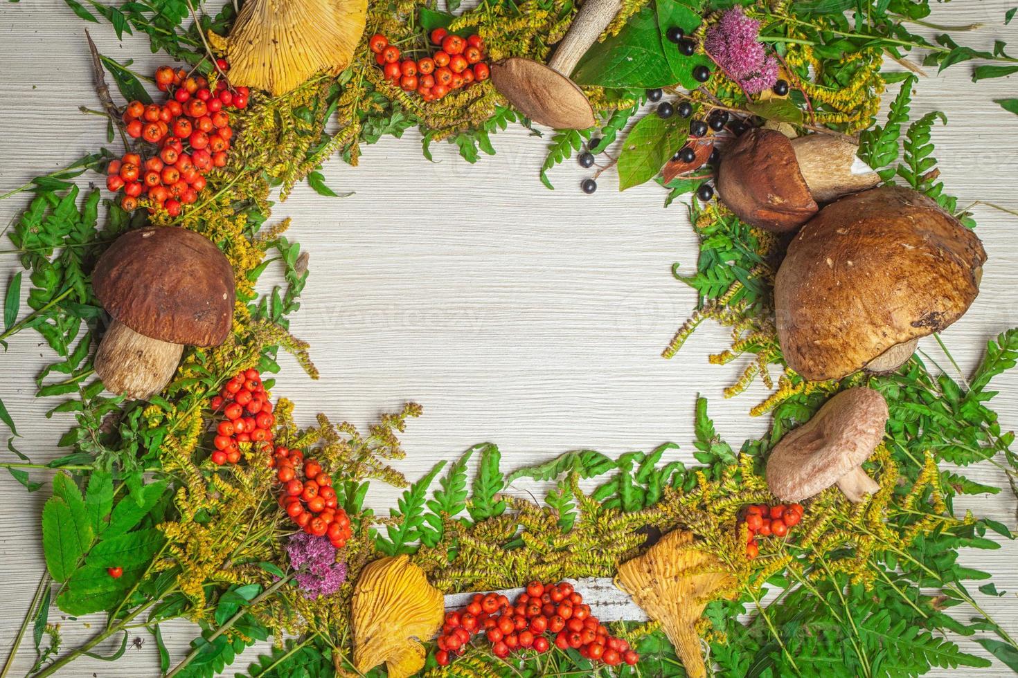 Herbststillleben mit Pilzen foto