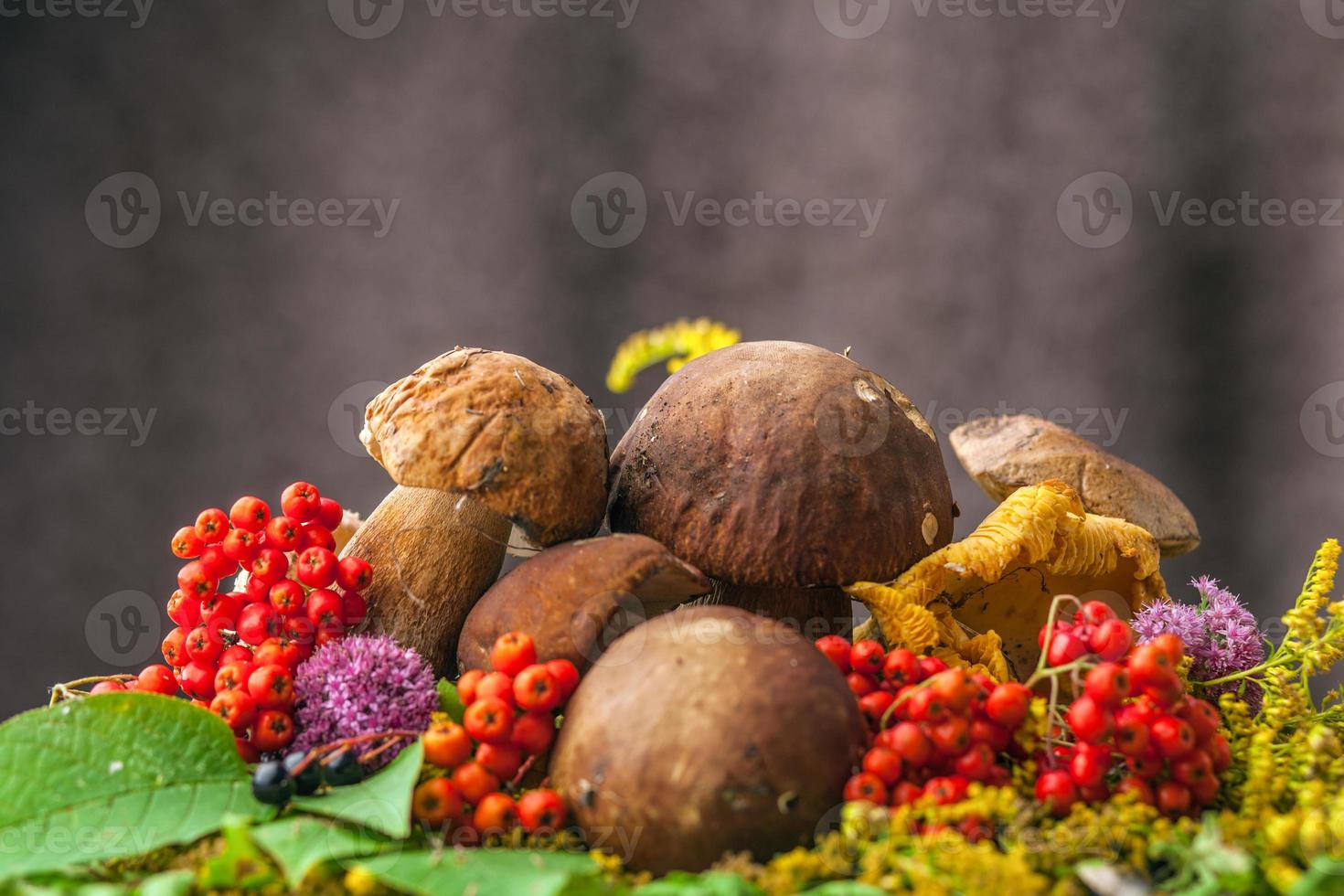 Herbststillleben mit Pilzen foto