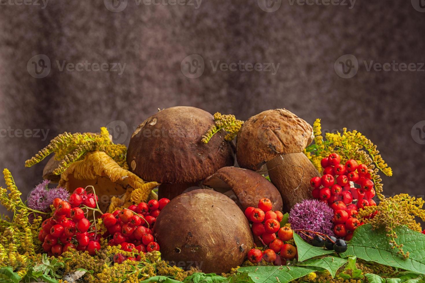 Herbststillleben mit Pilzen foto