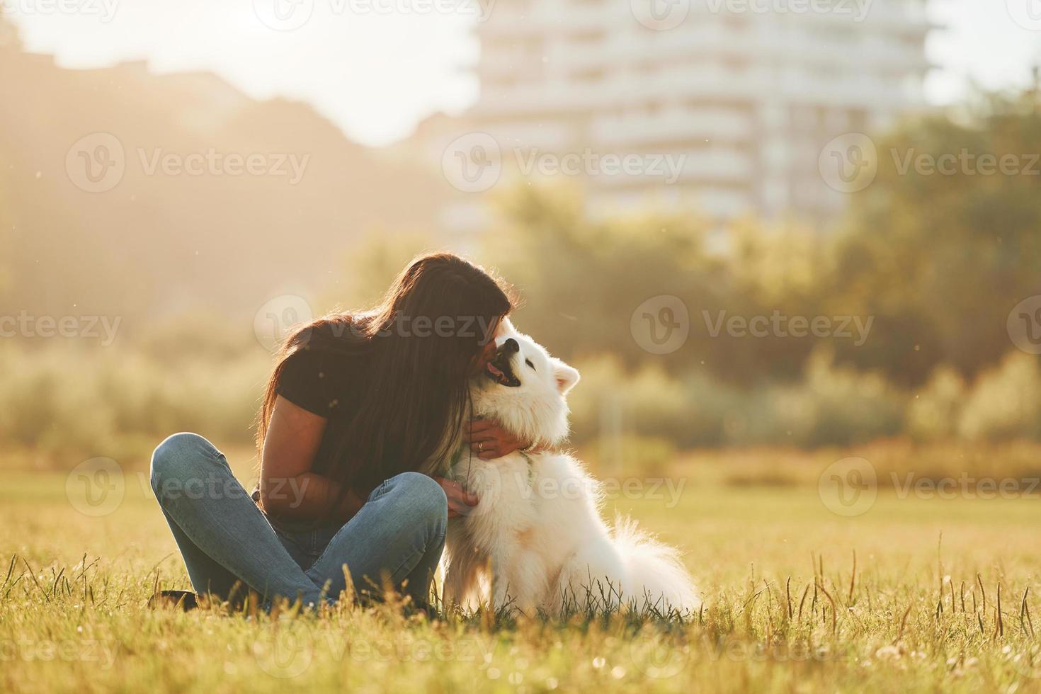 das Haustier umarmen. frau mit ihrem hund hat spaß auf dem feld bei sonnigem tag foto