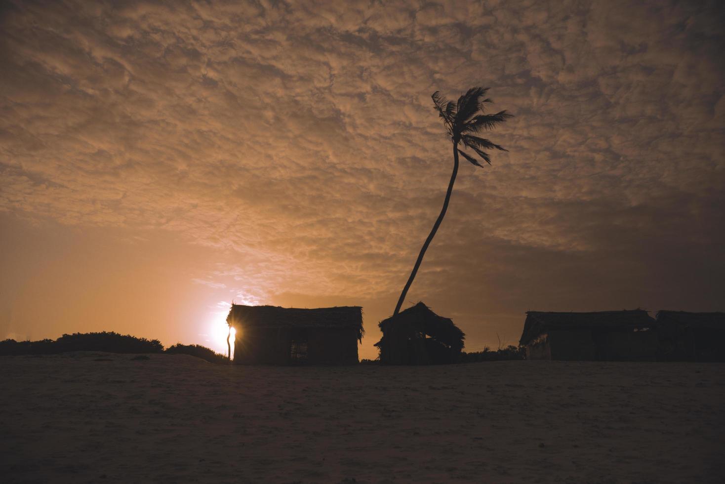 Schattenbild von Hütten und Palme bei Sonnenuntergang foto
