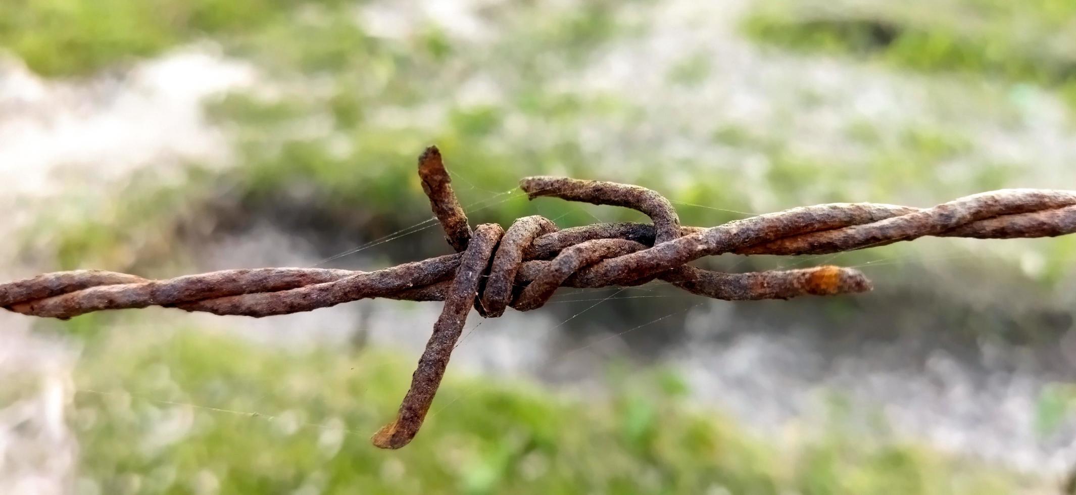 Stacheldraht auf einem Bauernhofzaun foto