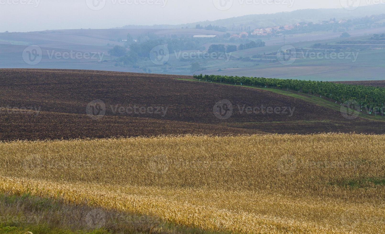 Herbstlandschaft in einem mährischen Feld foto