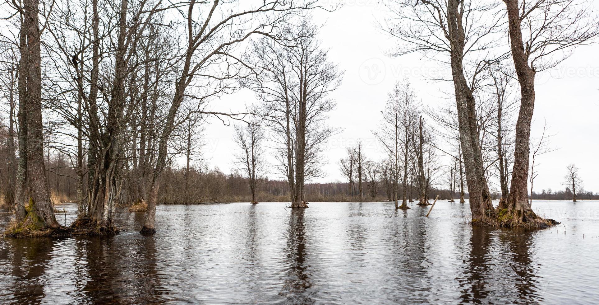 Soomaa-Nationalpark bei Überschwemmungen foto