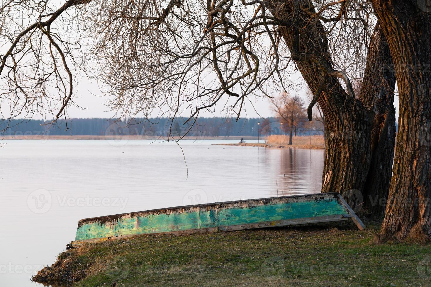 frühfrühlingslandschaften foto