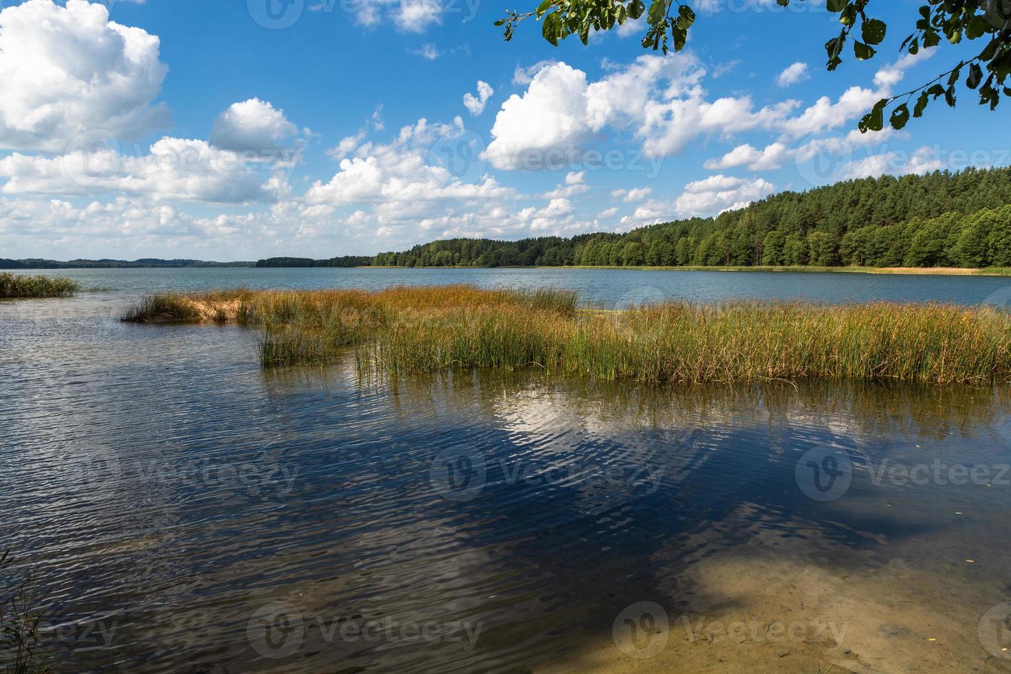 Sommerlandschaften am See in Litauen foto