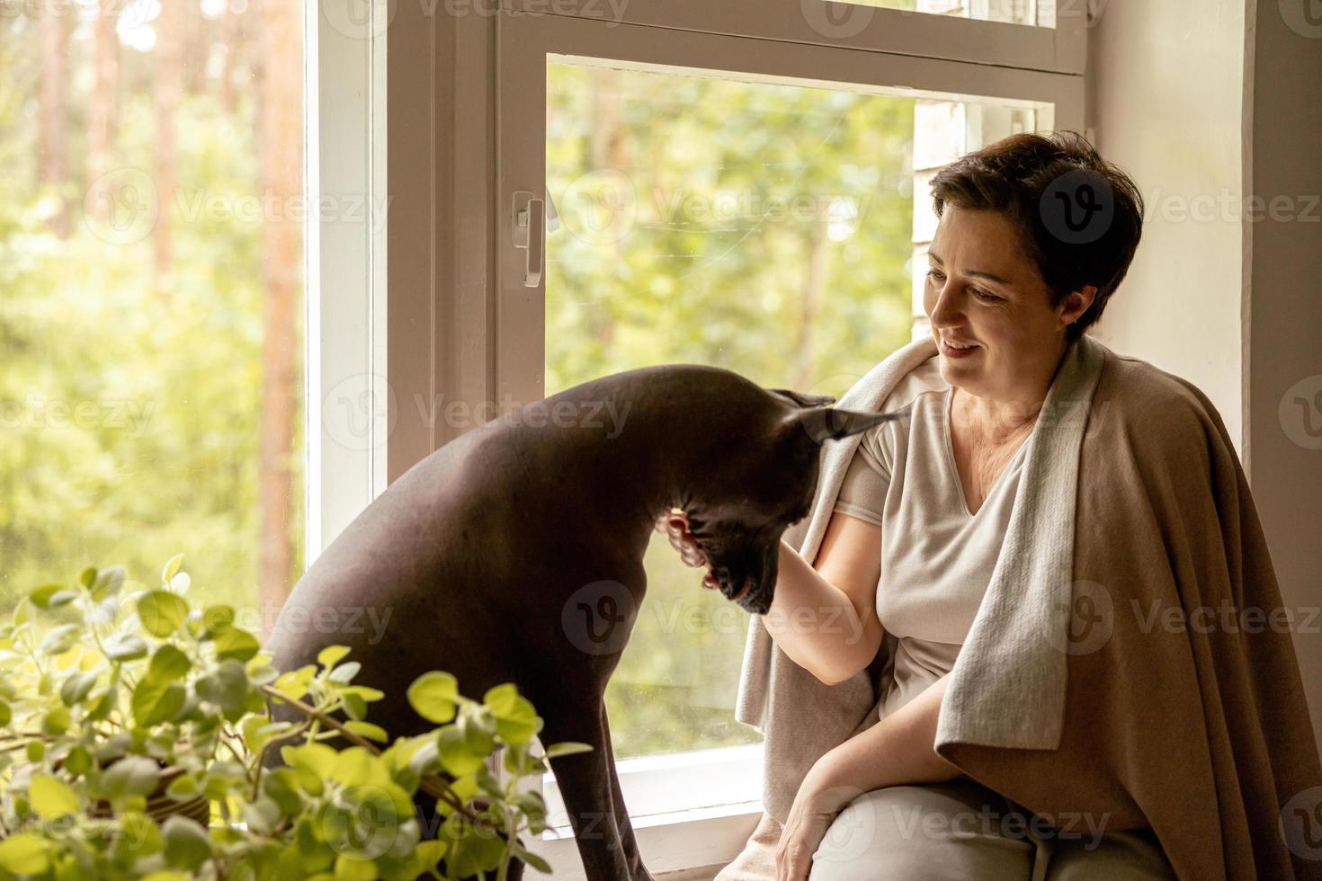 Schöne Frau mittleren Alters, die mit ihrem Hund auf der Fensterbank sitzt. 50-jährige Frau verbringt Zeit mit ihrem mexikanischen haarlosen Hund zu Hause. Xoloitzquintle, Xolo-Rasse. Hund als bester Freund, Familienmitglied. foto