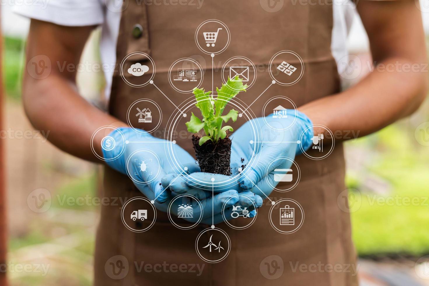 Frau übergibt Gartensalat im Bauernhof mit Wachstumsprozess und chemischer Formel auf grünem Hintergrund. mit Symbol foto