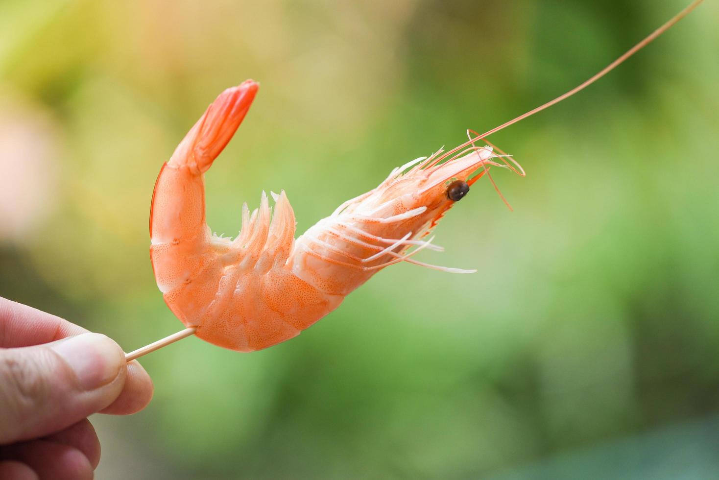 garnelenspieße in der hand und naturhintergrund meeresfrüchte regalgarnelen garnelen foto