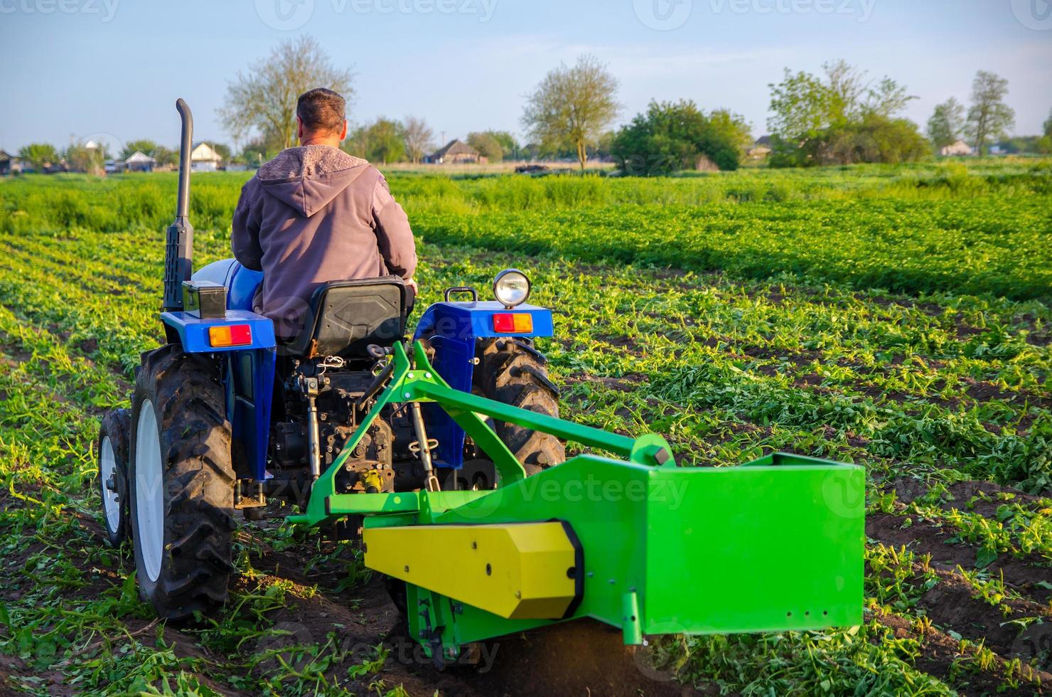 Bauer gräbt mit einem Traktor eine Kartoffelernte aus. Ernten Sie die ersten Kartoffeln im zeitigen Frühjahr. Landwirtschaft und Ackerland. Agroindustrie und Agribusiness. Erntemechanisierung in Entwicklungsländern foto