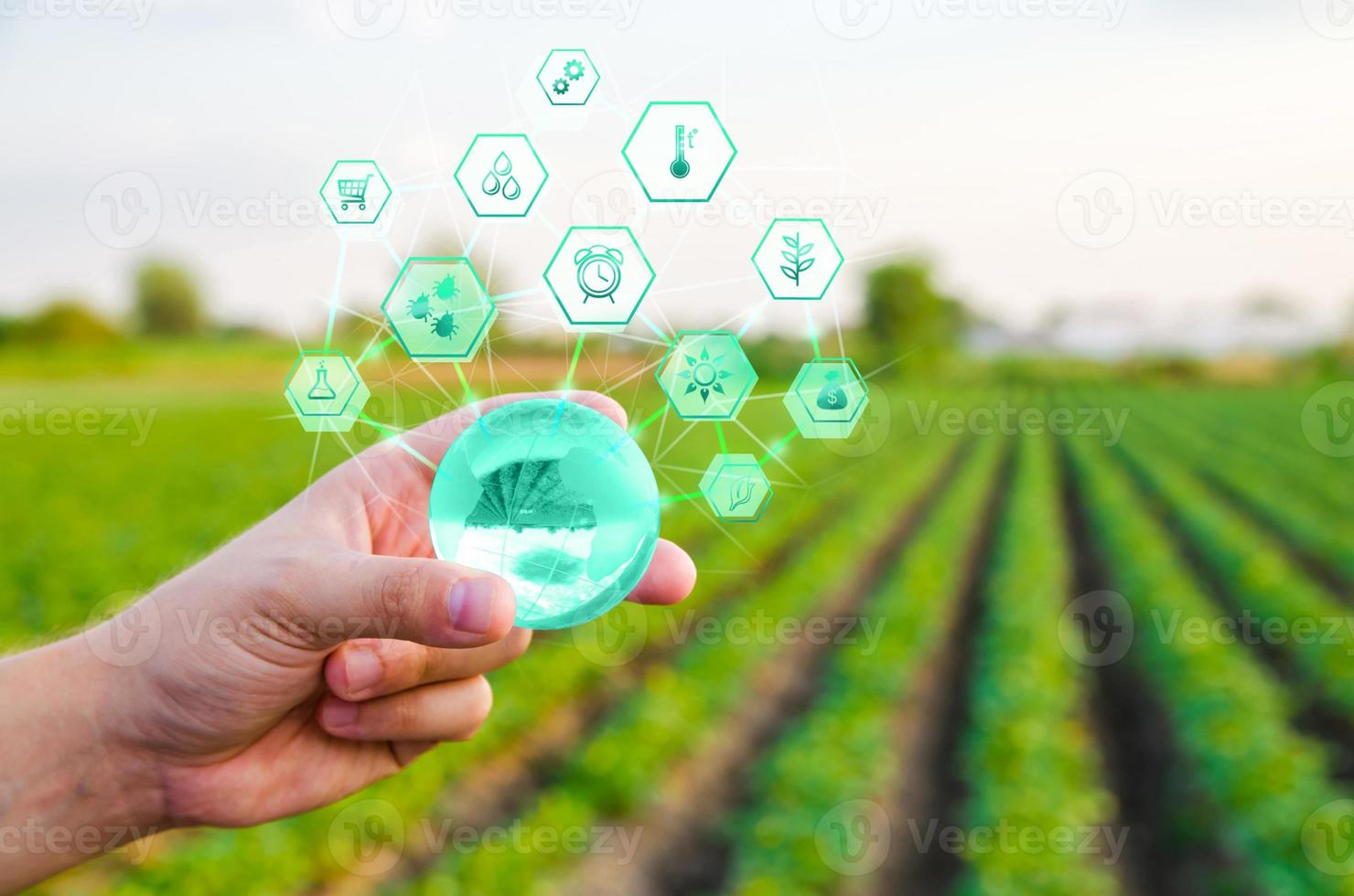 Halten eines Globus mit Innovationen auf dem Hintergrund des Bauernhoffeldes. Einsatz innovativer Technologien in der Landwirtschaft. Internet der Dinge und Digitalisierung der Industrie. Agroindustrie und Agribusiness. Landwirtschaft foto