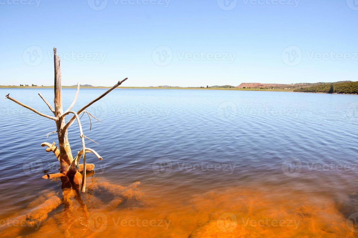 Meereslandschaft im Sommer foto