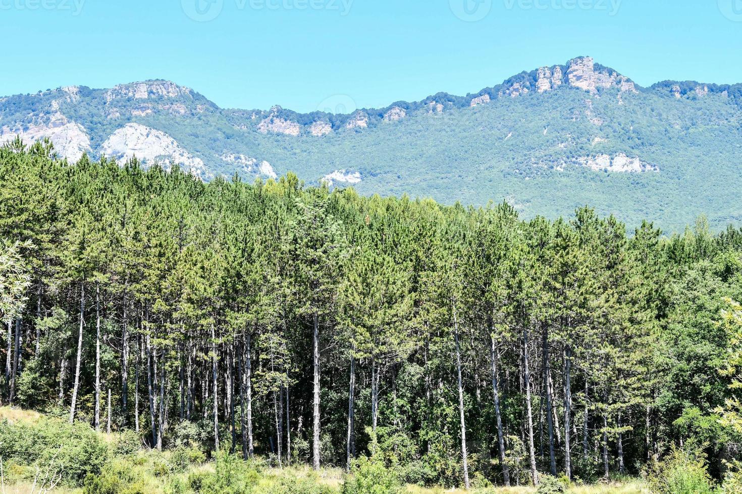 Berglandschaft im Sommer foto