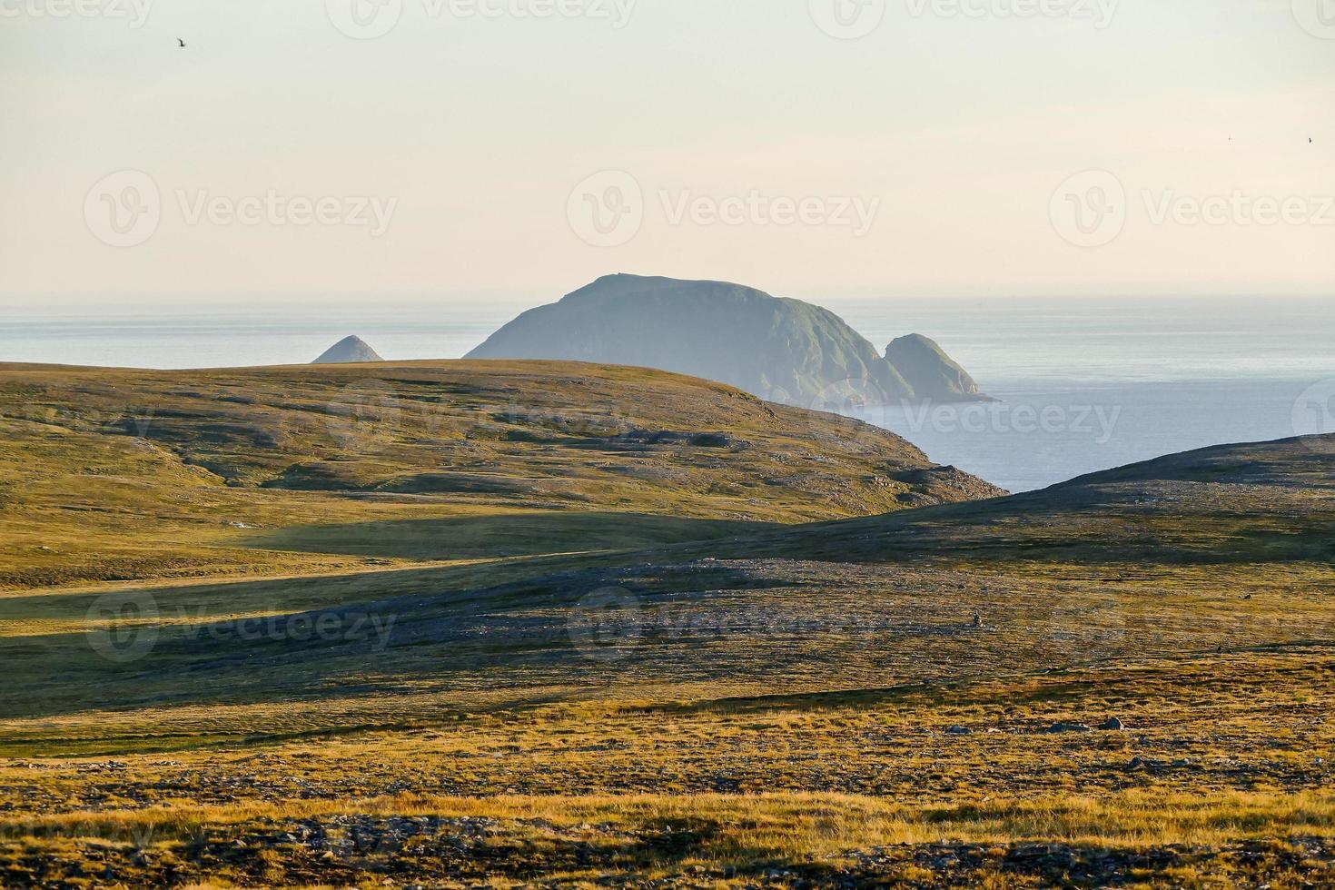 Landschaft im Sommer foto