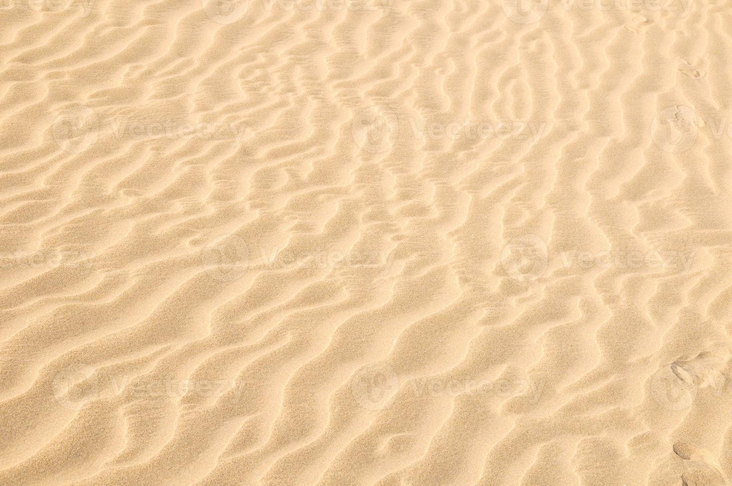 Sanddünenwüste Textur foto