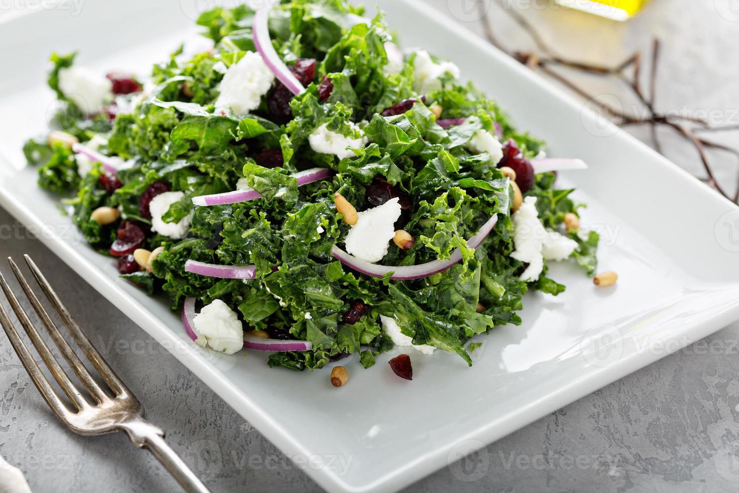 grünkohlsalat mit cranberry und feta foto