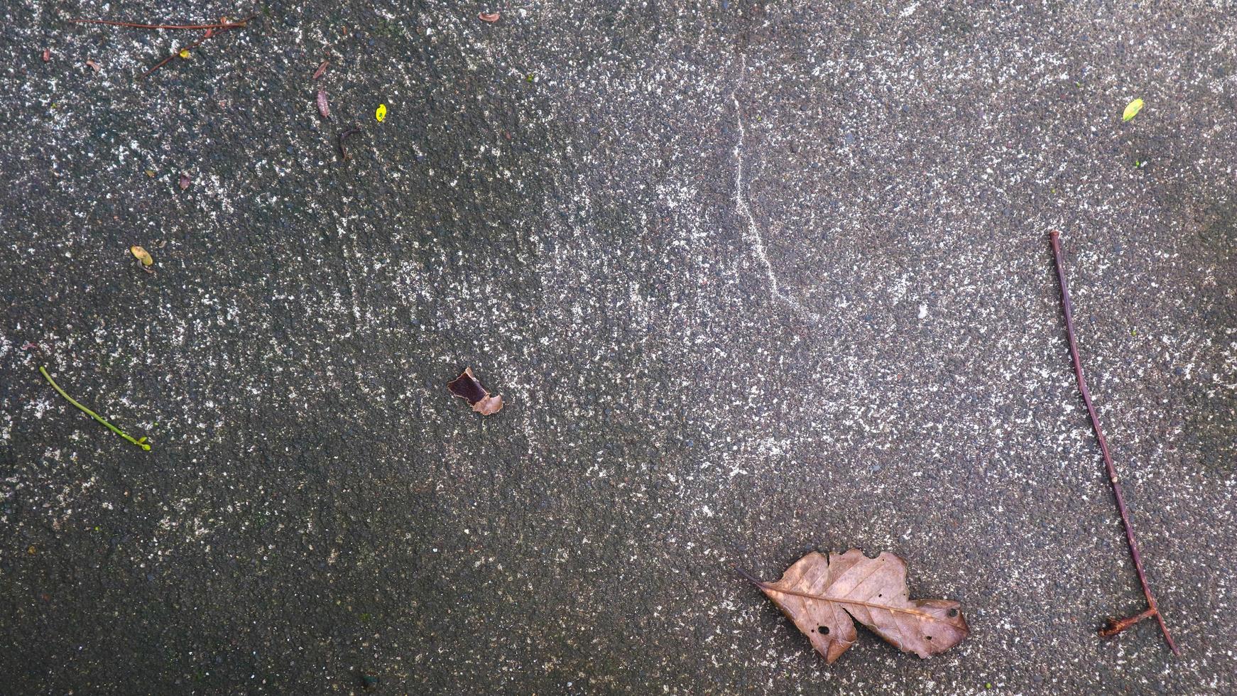 Betonstraßenstruktur mit trockenen Blättern foto