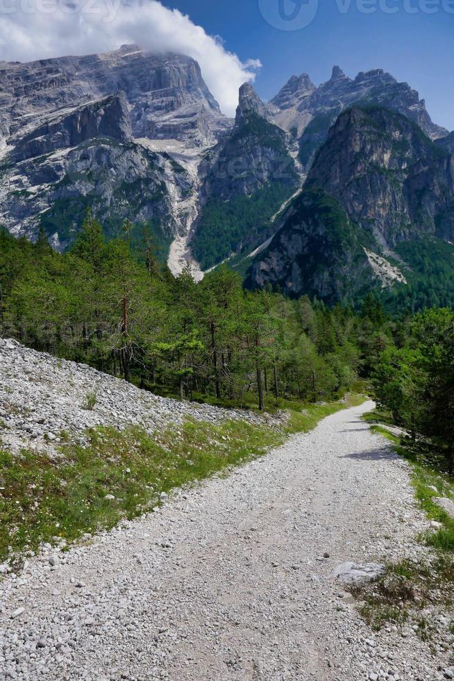 Berglandschaft im Sommer foto