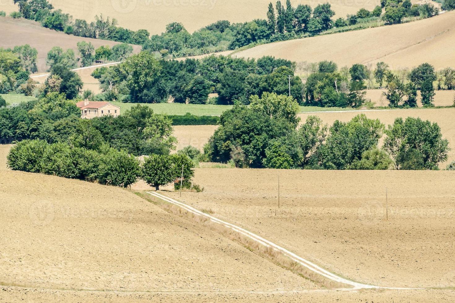 Landschaft im Sommer foto