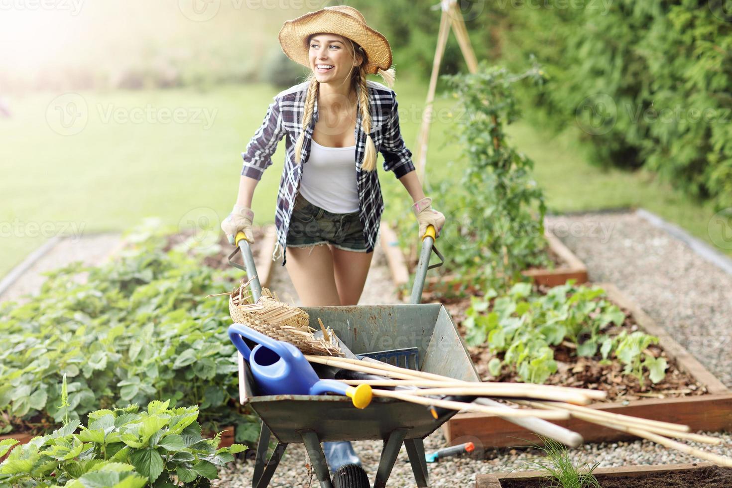 erwachsene Frau, die im Gemüsegarten arbeitet foto