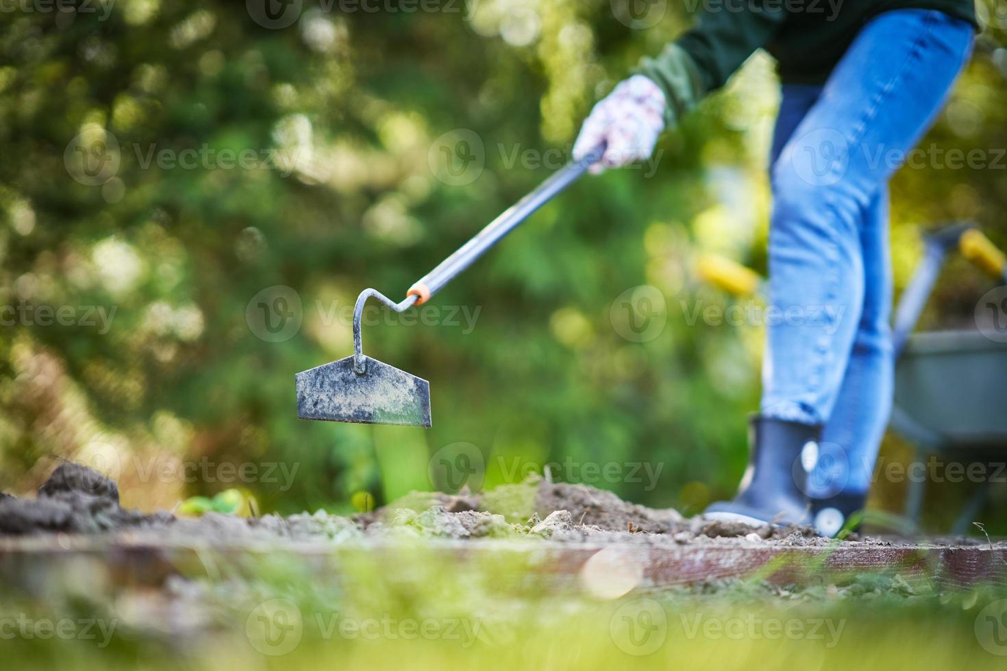 Bild einer Frau, die mit Werkzeugen im Garten arbeitet foto