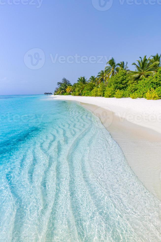 exotisches Paradies. reise-, tourismus- und urlaubskonzept. palmen auf tropischer strandlandschaft, luxusresort und unendliches blaues meer, malediveninsel. erstaunliche, wundervolle landschaft, sommerstrandhintergrund foto