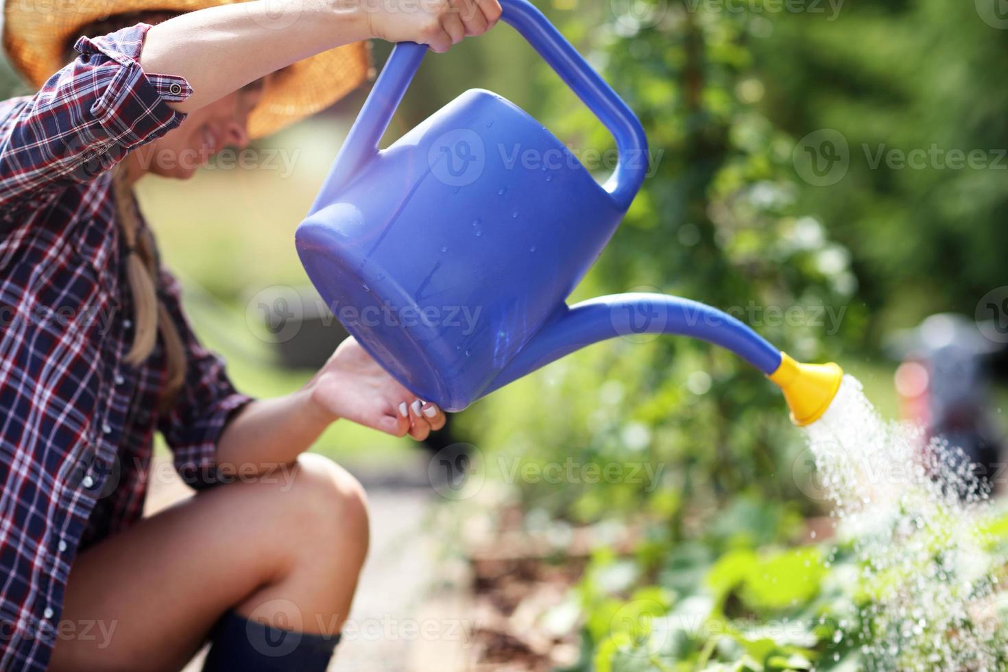 frau, die pflanzen draußen im sommer gießt foto