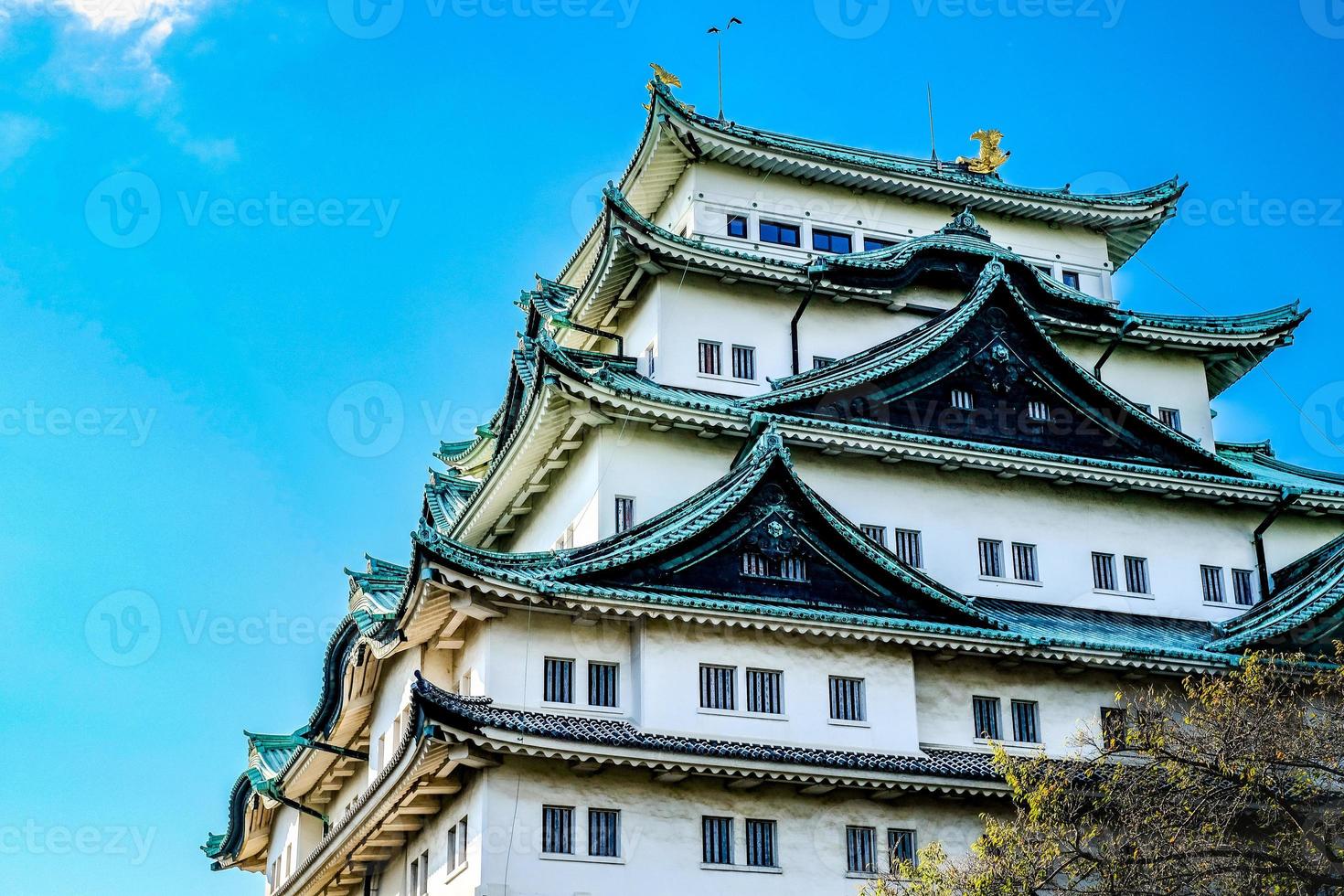 Nagoya-Schloss mit einem klaren Himmel während des Herbstlaubwürzens. Die Burg Nagoya ist ein Top-Wahrzeichen in Chubu, zentral in Japan, und hat Samurai als Burgsymbol. foto