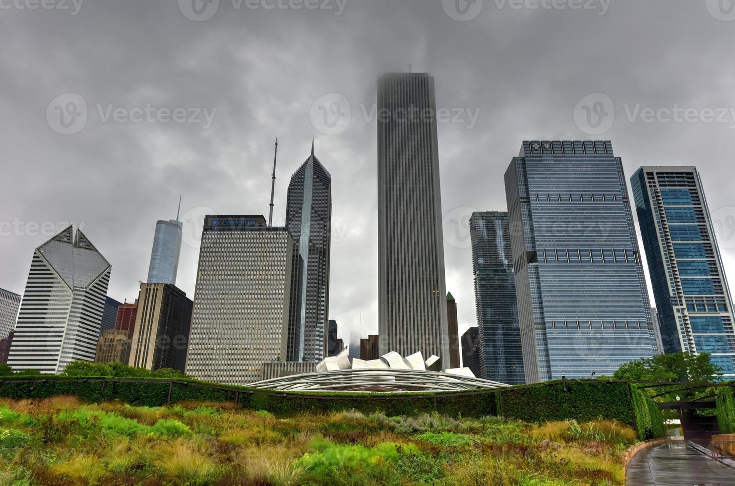 blick auf die skyline von chicago vom lurie garden foto