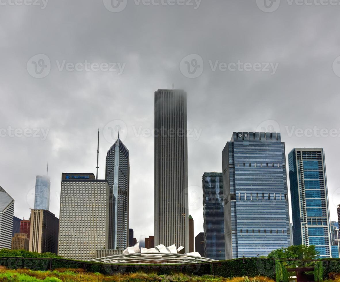blick auf die skyline von chicago vom lurie garden foto