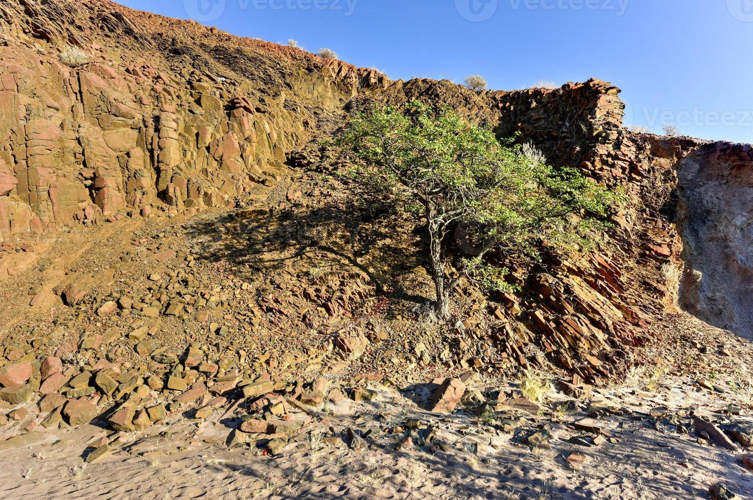 Orgelpfeifen - Twyfelfontein, Damaraland, Namibia foto