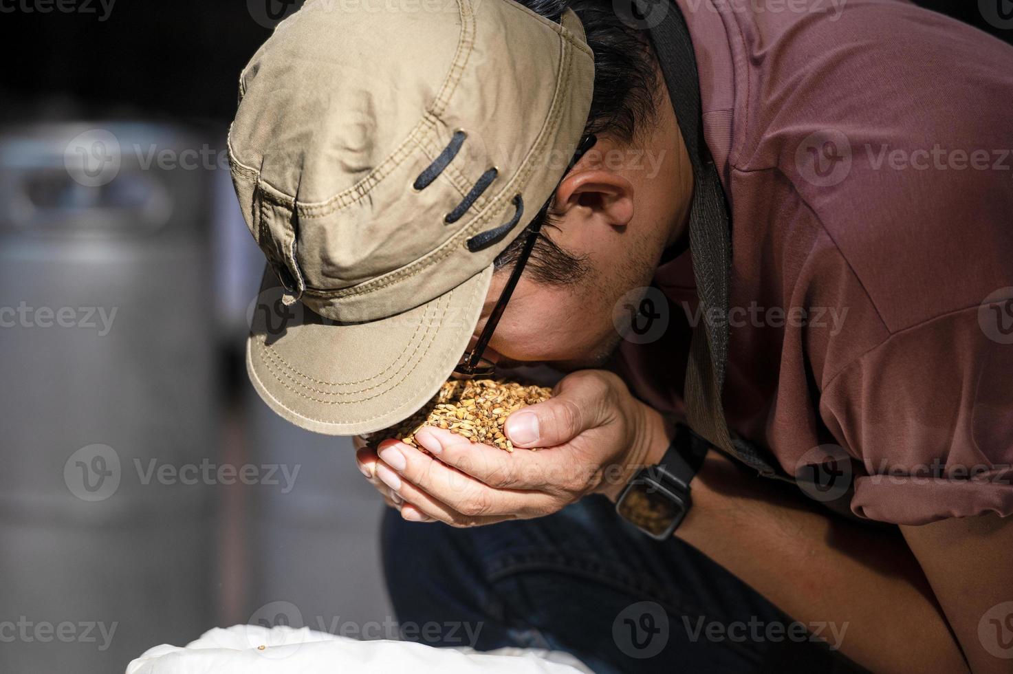 nahaufnahme der hand eines landwirts, der weizenkörner in einer asiatischen brauerei hält. foto