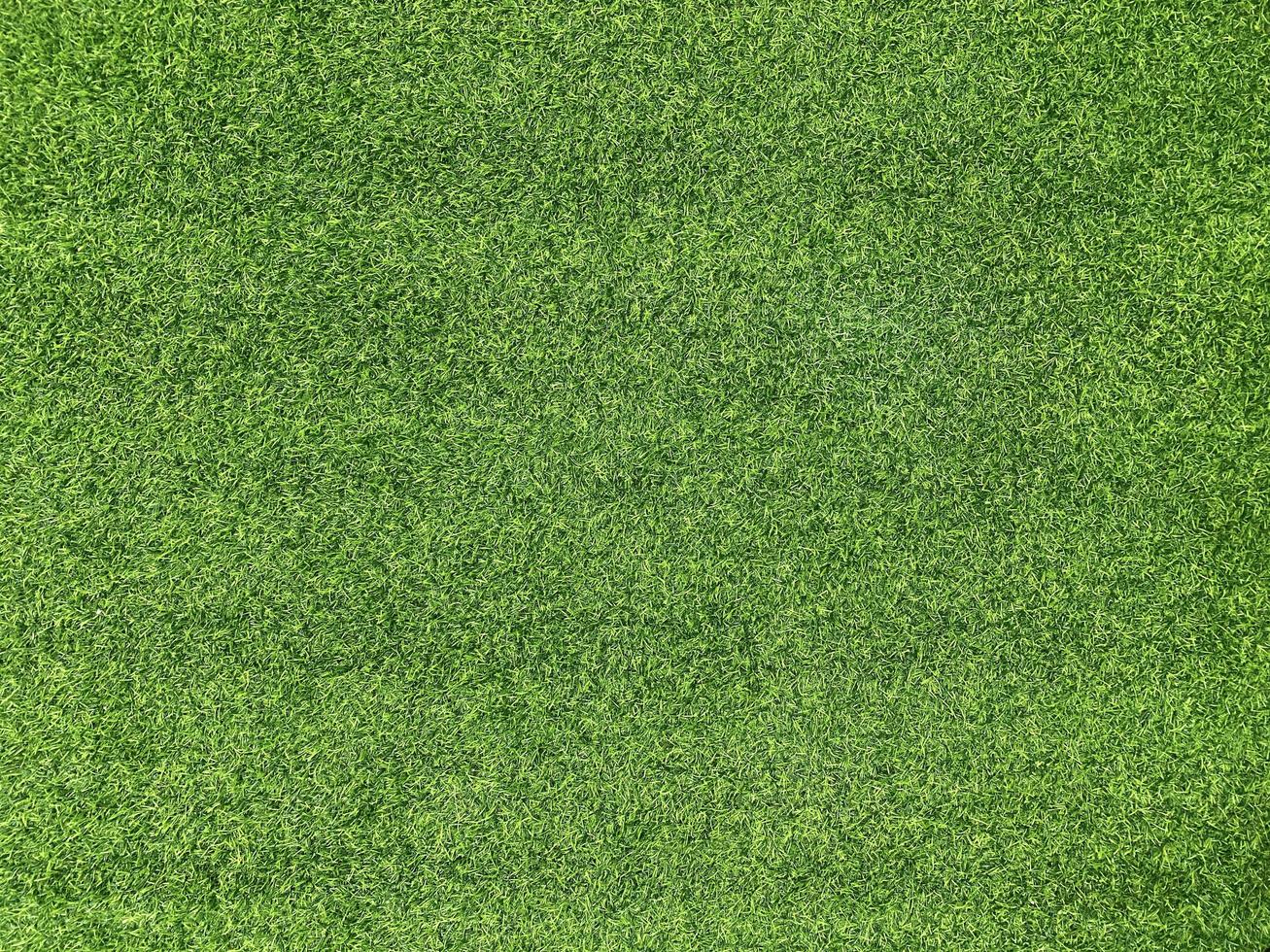 grünes Gras Textur Hintergrund Gras Gartenkonzept verwendet für die Herstellung von grünen Hintergrund Fußballplatz, Gras Golf, grünen Rasen Muster strukturierten Hintergrund. foto