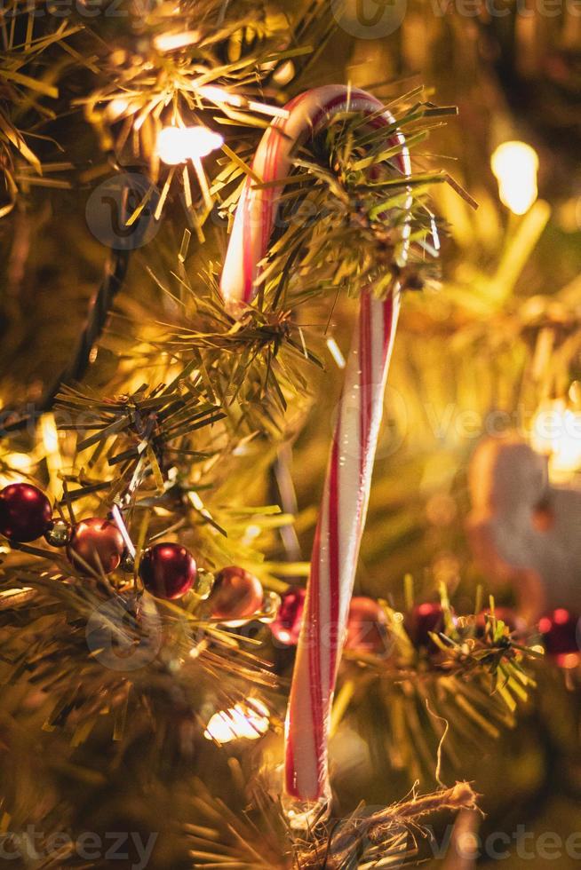 Zuckerstange, die an einem Weihnachtsbaum mit sanften Lichtern hängt foto