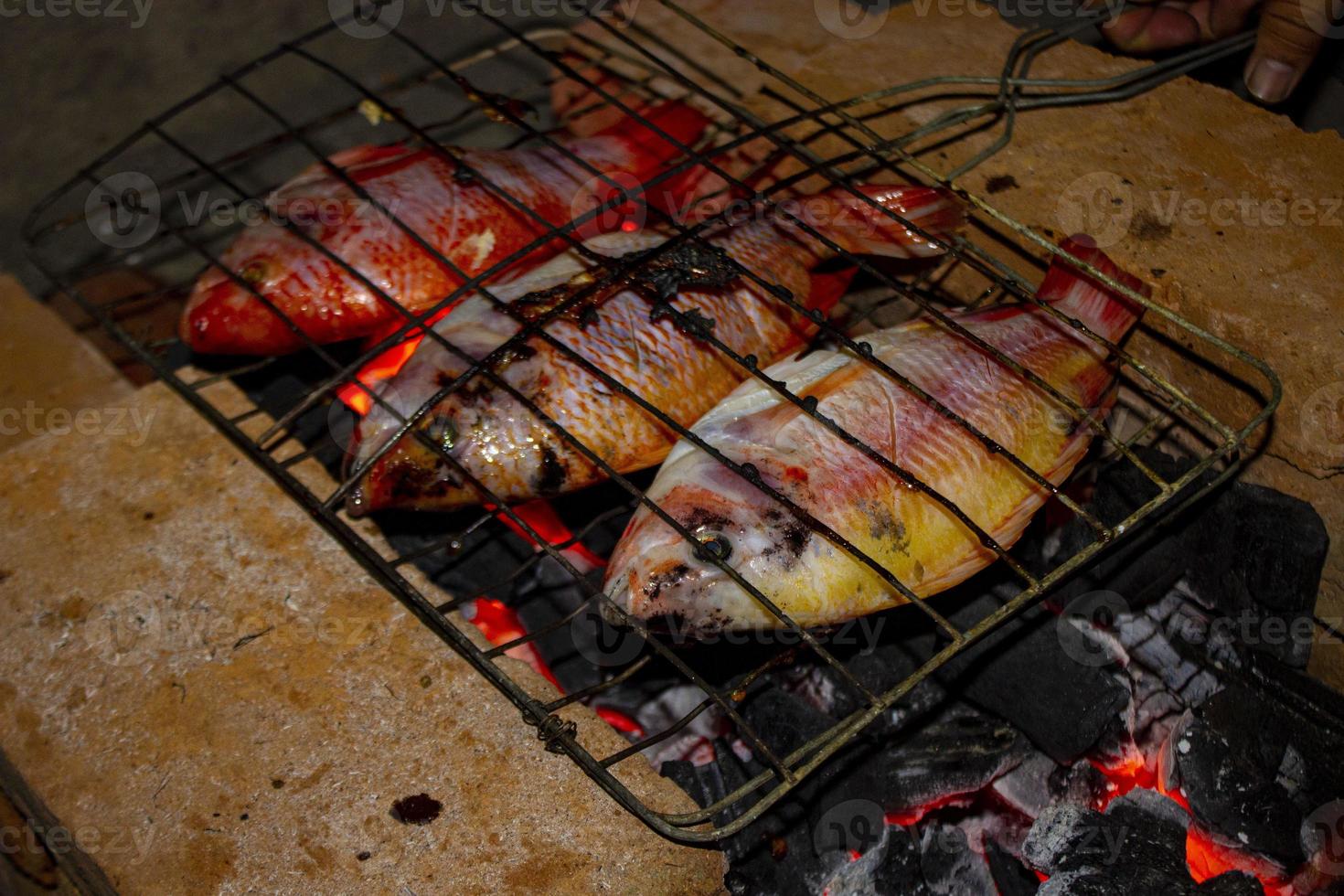 gegrillter fisch nil-tilapia auf holzkohlegrill gegrillter fisch nil-tilapia auf holzkohlegrill foto