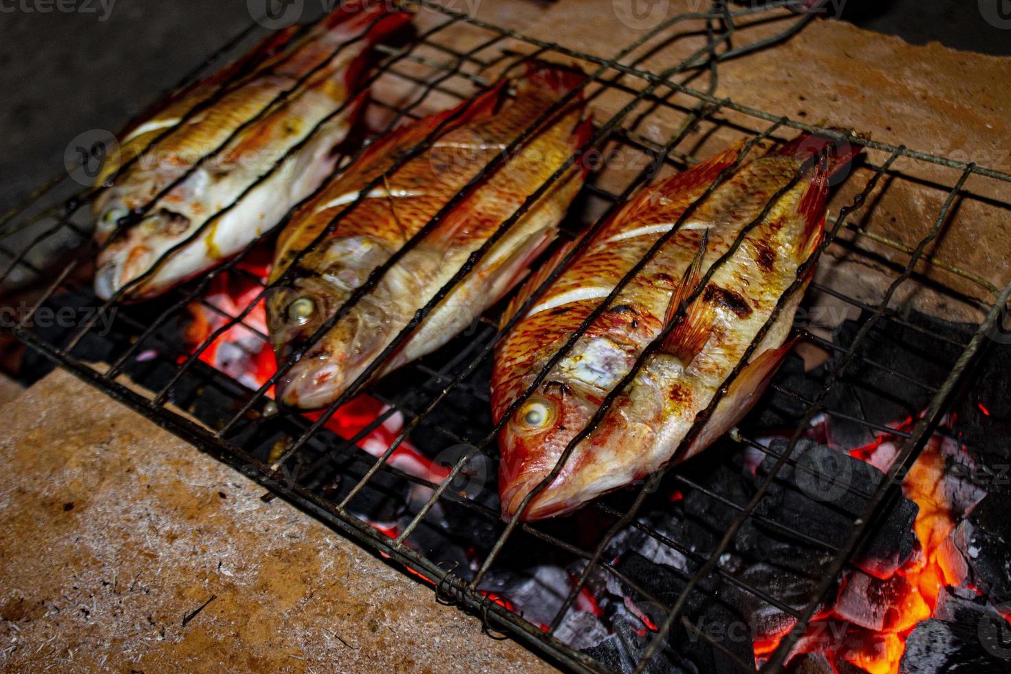 gegrillter fisch nil-tilapia auf holzkohlegrill gegrillter fisch nil-tilapia auf holzkohlegrill foto