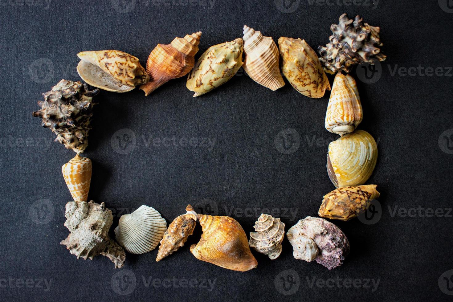 Muscheln, Muscheln, Jakobsmuscheln und Muscheln mit Kreisform isoliert auf schwarzem Hintergrund. foto