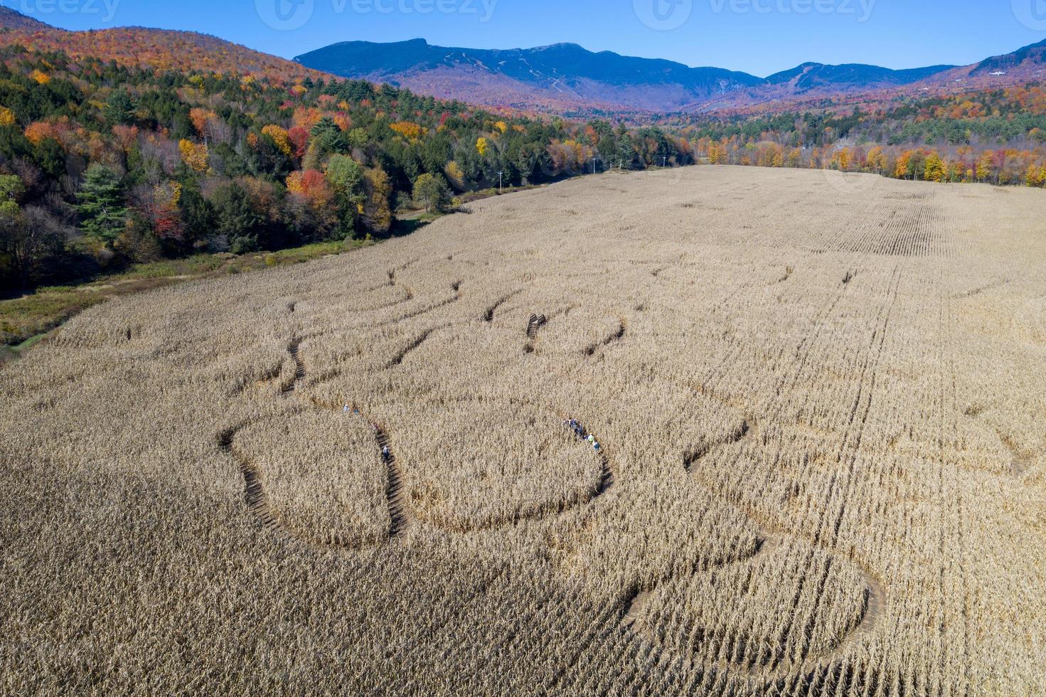 luftaufnahme eines maislabyrinths in stowe, vermont während des herbstlaubs. foto