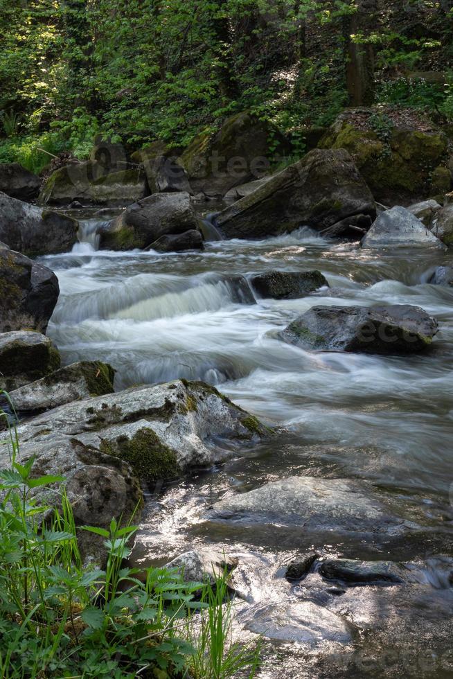 wilder fluss doubrava in der tschechischen republik, europa. foto