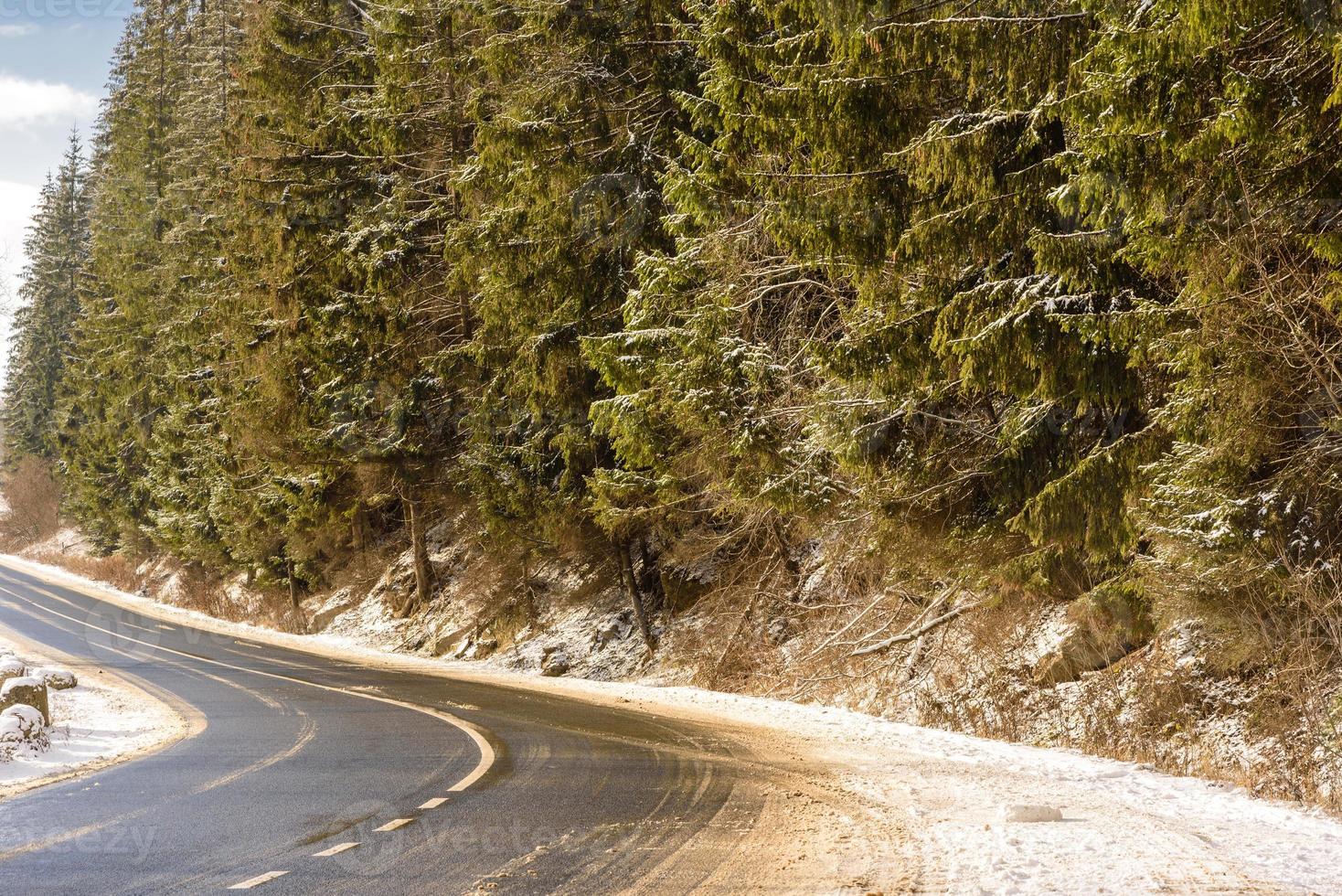 Autostraße in einem wunderschönen wintergrünen Nadelwald an den Hängen der Berge foto