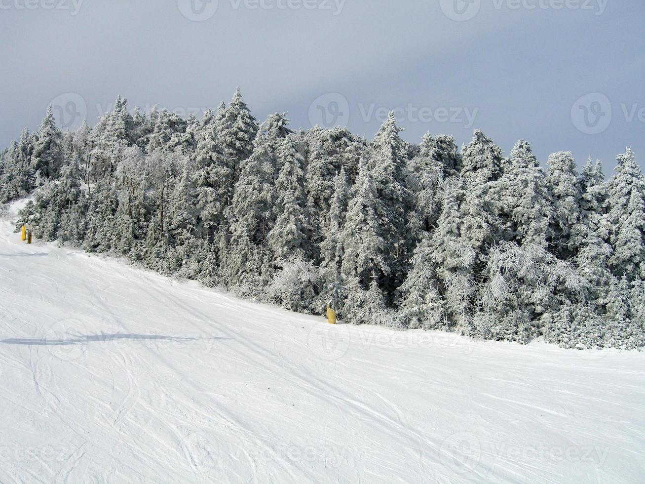 schneebedeckte Wanderwege in einem Winterskigebiet in Vermont foto