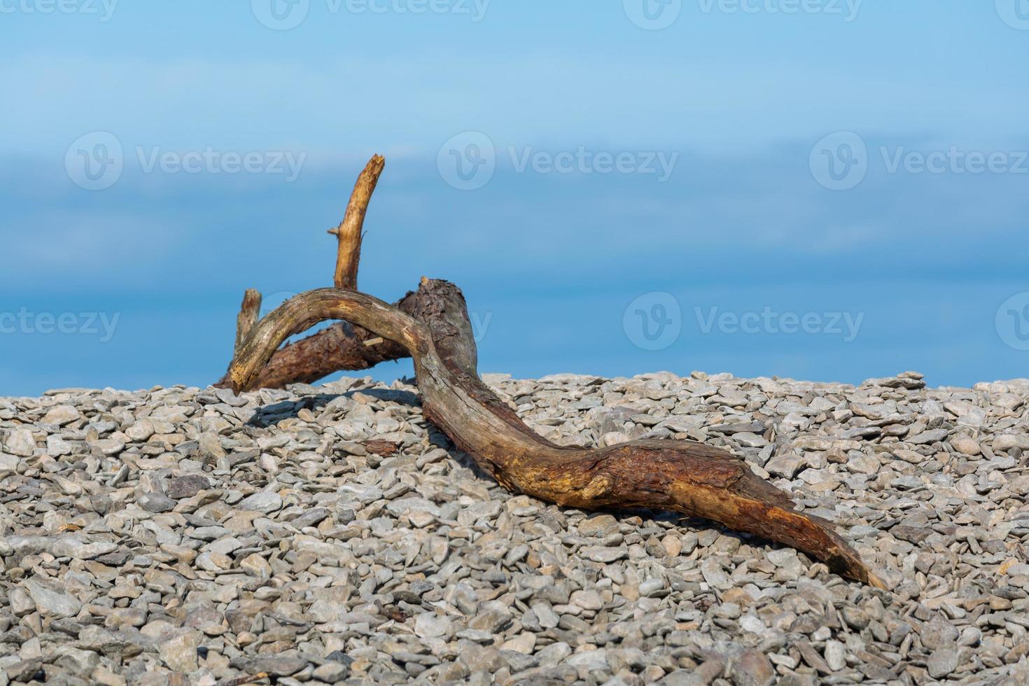 Naturlandschaften der Insel Vormsi foto