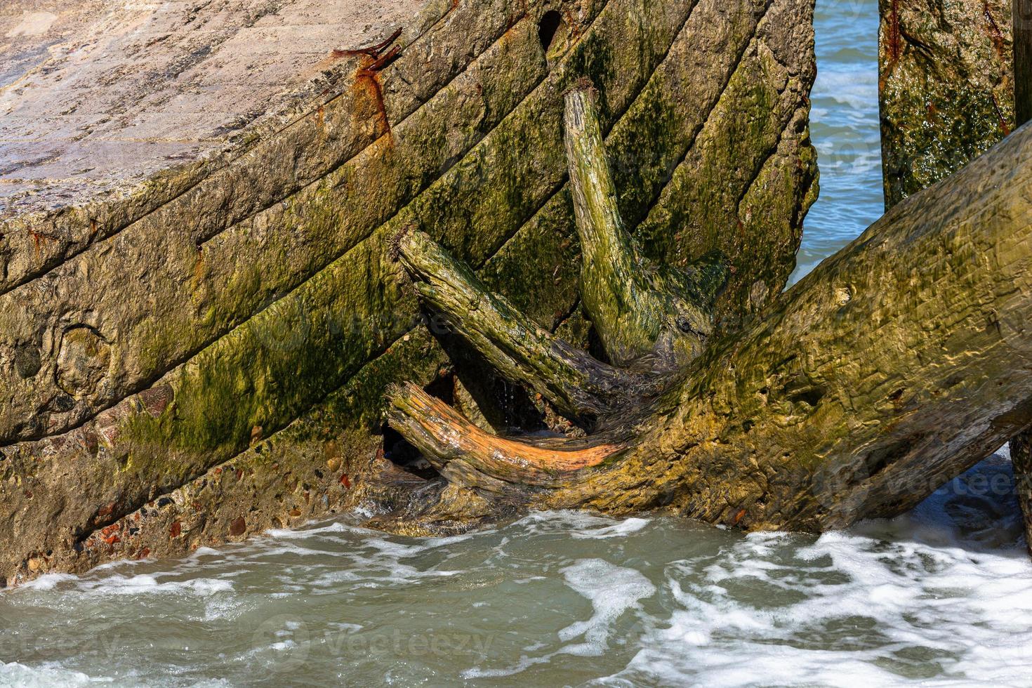 Küste der Ostsee im Sommer foto