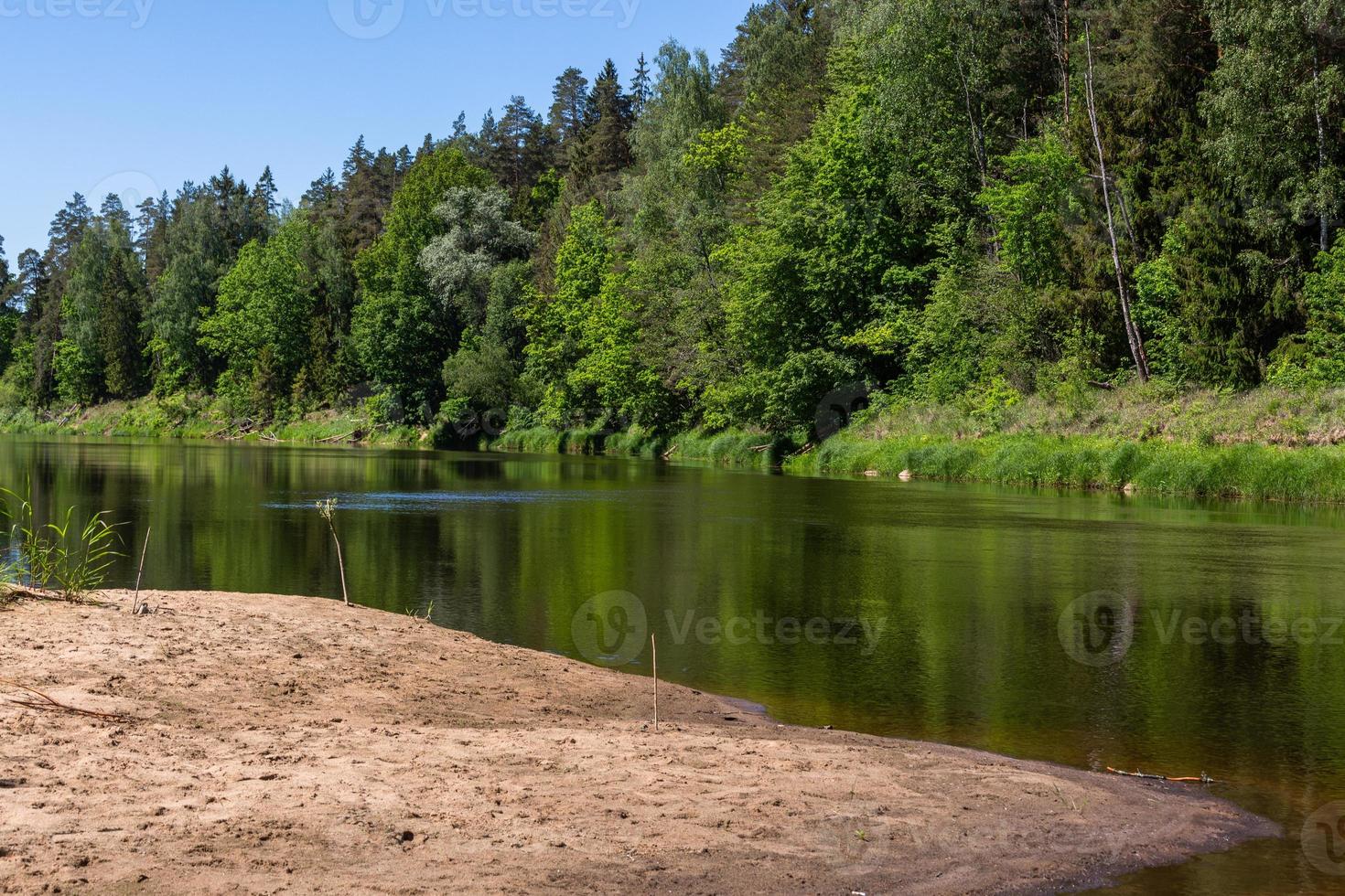 Fluss im Sommer foto