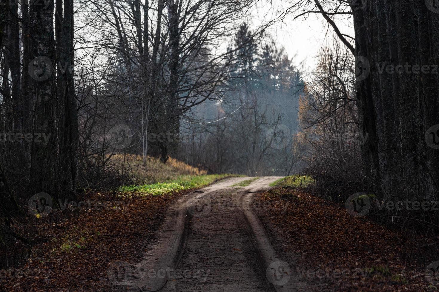 geschotterte Landstraße foto