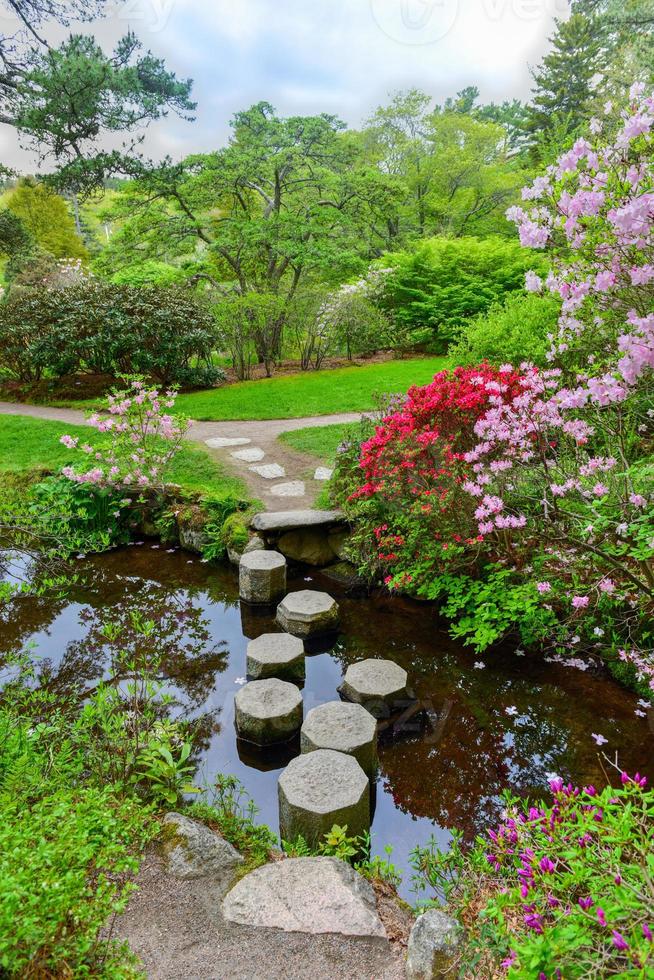Astico Azaleengärten im japanischen Stil in Mount Desert Island, Maine. foto