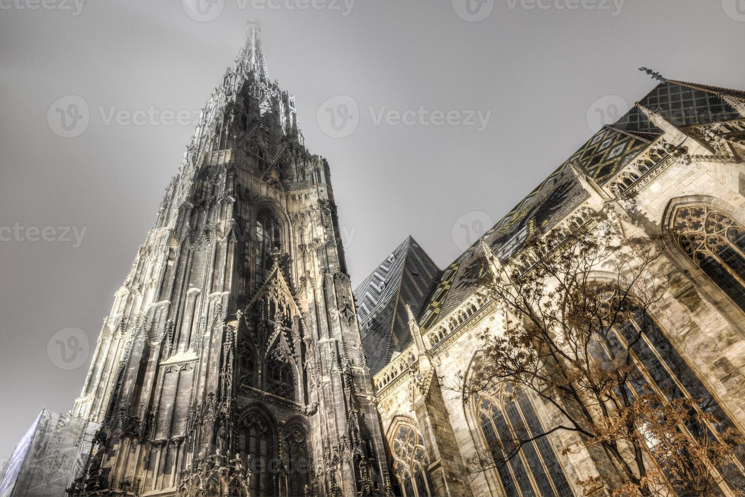 st. Stephansdom in Wien bei Nacht, Österreich foto