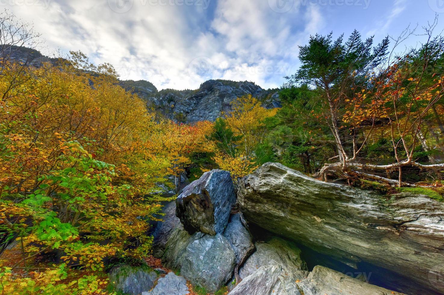 Herbstlaub Vermont foto